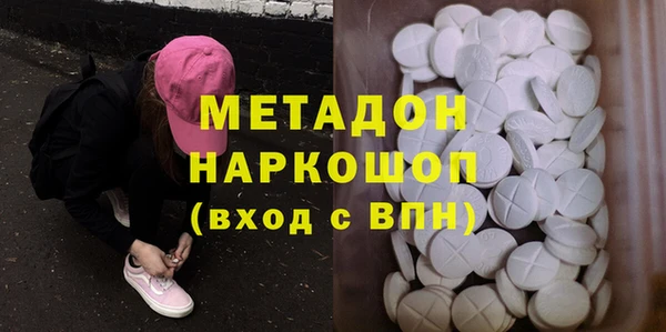прущие грибы Алзамай