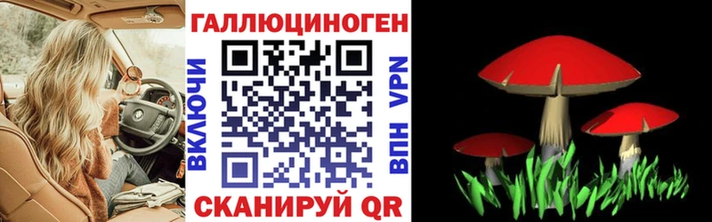 Псилоцибиновые грибы мицелий  Полтавская 